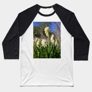 White and Yellow Daffodils Against a Blue California Spring Sky Baseball T-Shirt